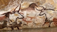 https://www.6543.fr/files/gimgs/th-63_Image_1.jpg