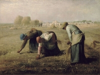 https://www.6543.fr/files/gimgs/th-63_Image_18_1_1.jpg